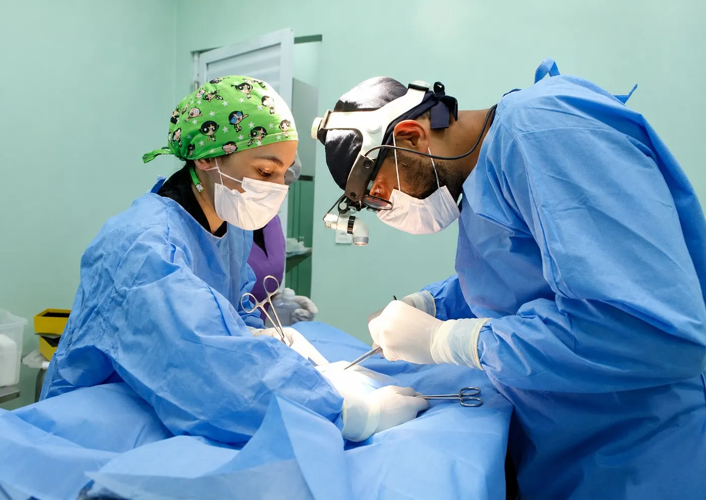 Cirurgia no bloco cirúrgico do Hospital Animalmed